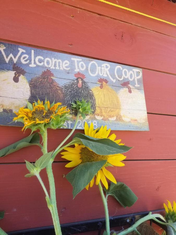 Global Village Permaculture Bnb Oliver Dış mekan fotoğraf